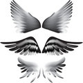 Free Wings Silhouette Stock Image - 15264101
