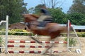 Free Show Jumping. Royalty Free Stock Photo - 1533705