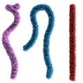 Free 3d Fur Plumy Stock Photography - 1534362