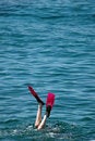 Free Fin Royalty Free Stock Images - 1538229