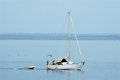 Free Sail Boat Royalty Free Stock Photo - 1538655