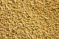 Free Yellow Plaster Stock Photos - 1538683