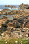 Free The Pink Granite Coast In Bretagne Stock Image - 1530731
