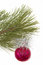 Free Christmas Tree And Ball Royalty Free Stock Images - 1534079