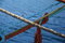 Free Diagonal Rope Royalty Free Stock Photography - 1536277