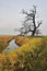Free Meadow Royalty Free Stock Photography - 1538057
