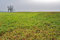 Free Meadow Stock Photography - 1538072