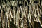 Free Meadow Winds Stock Photography - 1541862