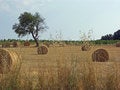 Free Tuscany Countryside View Stock Photos - 1550343