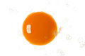 Free Egg Yolk Stock Images - 1550424