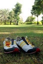 Free Shoes Stock Photo - 1556350