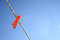 Free Clothes Line Stock Image - 1551281
