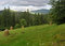 Free Mountainous Green Meadow 3 Royalty Free Stock Photography - 1554587