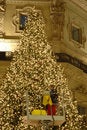 Free Working On Christmas Tree Stock Image - 1563771