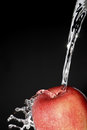 Free Apple Royalty Free Stock Photography - 1565267