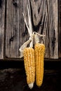 Free Popcoren Stock Photo - 1567680