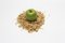 Free Green Apple And Golden Cereals Stock Photos - 15604063