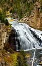 Free Gibbon Falls Royalty Free Stock Photo - 1570845