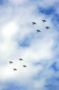 Free Aircraft Royalty Free Stock Images - 1573959