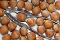 Free Lots Of Hard Nuts To Crack Royalty Free Stock Image - 1576756