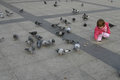 Free Feeding Pigeons Royalty Free Stock Photo - 1580455
