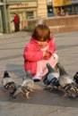 Free Feeding Pigeons Stock Photo - 1580470