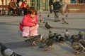Free Feeding Pigeons Royalty Free Stock Photography - 1580487