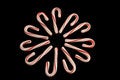 Free Candy Cane Circle Royalty Free Stock Photography - 1584517
