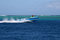 Free Tahitian Fish Boat Royalty Free Stock Image - 1580556