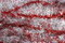 Free Christmas Decorations Royalty Free Stock Photography - 1581347