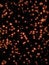 Free Holographic Snowflakes Stock Images - 1587854
