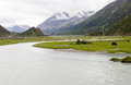 Free River And Grassland Royalty Free Stock Image - 15810776