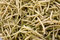 Free Beans Stock Photography - 15852302