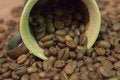 Free Cup Filled With Coffee Beans Stock Images - 1594504