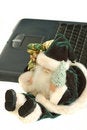 Free Santa Claus With Laptop Royalty Free Stock Image - 1595586