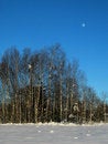 Free Winter-Birches In Snowed-In Meadow - And The Moon Stock Photos - 1596703