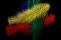 Free Feathers Stock Photos - 1598503