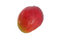 Free Red Mango Stock Photography - 1599762