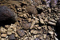 Free Smooth Rocks Royalty Free Stock Photos - 163498
