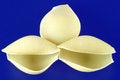 Free Pasta Shell Design Stock Photos - 1600623