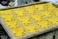 Free Hides Stock Photos - 1601813