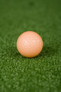 Free Picture Of Orange Golf Ball On Practice Tee Royalty Free Stock Photos - 1603328