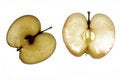 Free Apple Royalty Free Stock Image - 1603746