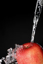 Free Apple Royalty Free Stock Images - 1604379