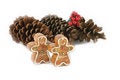 Free Gingerbread Men And Pine Cones (focus On Gingerbread Men) Stock Images - 1606434