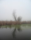 Free November Fog Stock Photography - 1607132