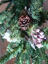 Free Its Xmas Stock Image - 1607291