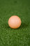 Free Picture Of Orange Golf Ball On Practice Tee Royalty Free Stock Photos - 1603328