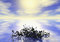 Free Reflection Of The Sky Stock Photos - 16003893