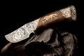 Free Ornamental Hunting Knife. Royalty Free Stock Photo - 16078085